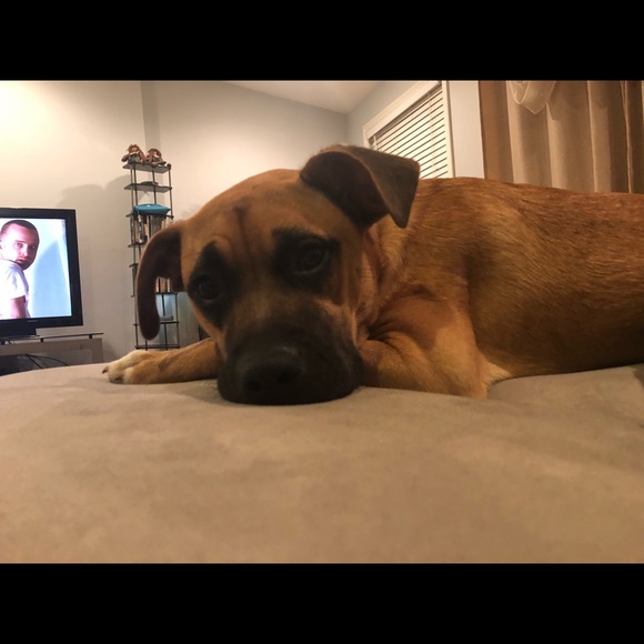 Meet your Posher, Amber - Picture 6 of 8